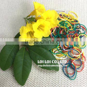 Flexible Elastic Rubber Band From Viet Nam / Rubber Bands for Cauliflower photo-2