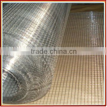 Wholesale !! 5x5 welded wire mesh (Professional Factory)