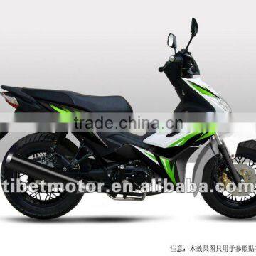 Motorcycle 110CC ALIEN CUB Chopper Motorcycle (ZF110-8VIII)