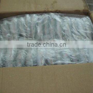 Indo Pacific Mackerel ( Short Body Mackerel) photo-4