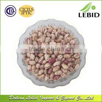 180-200 grains/100g round shape cranberry