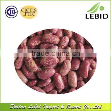 2016 Red Speckled Kidney Beans From China Best Price Hot Sale