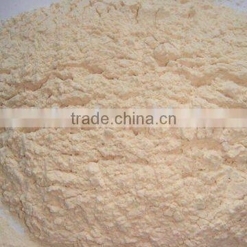 Dehydrated garlic powder 80-100mesh