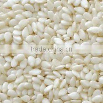 Sesame seed for oil extracting