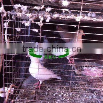 Low Carbon Steel Wire Alibaba Pigeon Cage for Poultry Farm