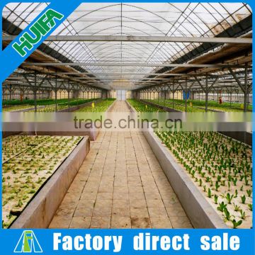 Commercial used High roof multi-span hydroponic greenhouse