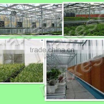 Poultry Farm Centrifugal Ventilation Exhaust Fan photo-3