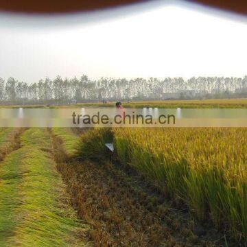 Walking Tractor/mini Tiller Used Harvest Part/mini Harvester photo-4