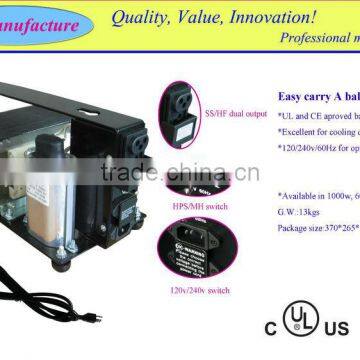600w naked ballast