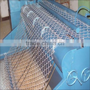 PVC /Galvanized Chain Link Fence (Hebei Factory & Price)