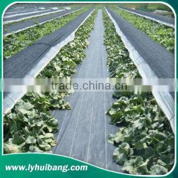 105G/M2 Weed Mats / PP Woven Fabrics in Small Rolls photo-3