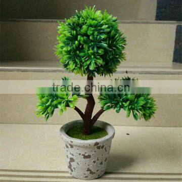 CHY060911 Guangzhou shengjie high quality bonsai for landscape