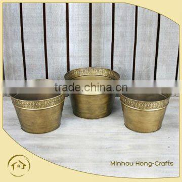 golden container planter