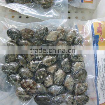 Frozen Vacuumed Cooked Short Necked Clam Wild Caught photo-2