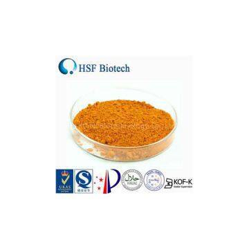 Coenzyme Q10 Powder 10%/20%/40% CWS