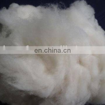 China supplier cashmere fibres wholesale cheap price