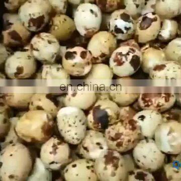 Cheap Price Egg Shell PeelerMachine/egg Shell Breaker