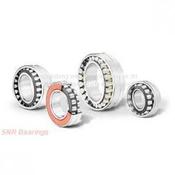 SNR Bearing