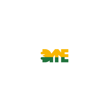 Henan Dianyan New Energy Technology Co.,Ltd