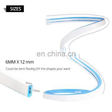 5m 6 X 12mm DC12V 2835 Flexible Led Striped Neon Ribbon Lights Silicone Tape IP67 Waterproof Red Green Blue White Pink photo-3