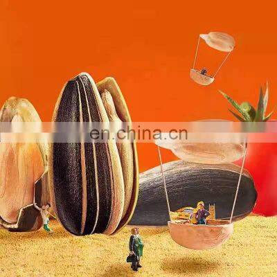 Qingdao Yiwu China Certified Organic Honey Roasted Roasted Nutrition Sunflower Seed Chacha photo-4