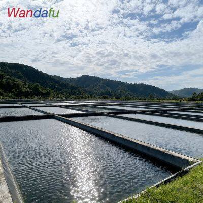 Wandafu Smooth/Textured HDPE Geomembrane For Shrimp Farm Fish Pond Liner