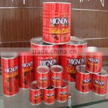 canned tomato paste of brix 28-30% and 22-24% with 70g/198g/400g/800g/2.2kg/3KG/4.5KG