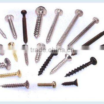 carpenter screws(wood screws)