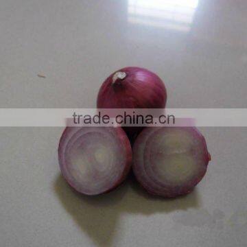 Fresh red onion