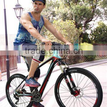 Carbon Fiber Frame Chinese Bicycles MTB Bike for Sale