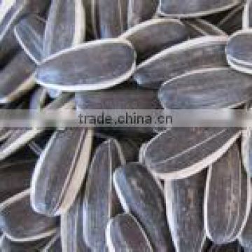 wholesale bird seed