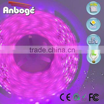 PINK 5050 smd 60LEDs/m 300LEDs/roll flexible strip with DC12V and white FPC