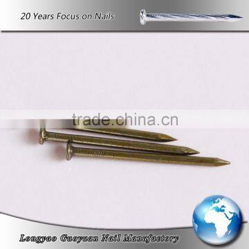 Yellow Coated Concrete Nails with high quality/decorative nail                        
                                                Quality Choice