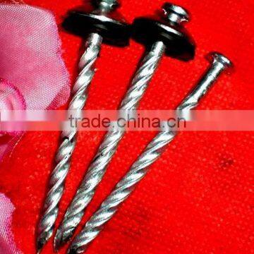 kenya market twisted shank umbrella head roofing nails