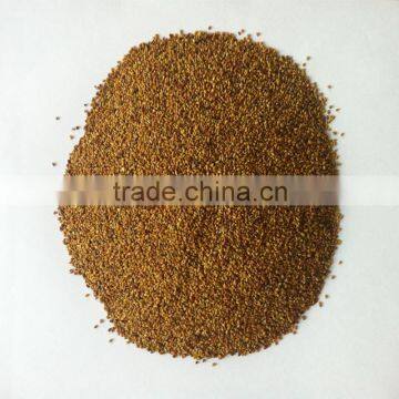 High Yield Grass Seeds for Sale photo-2