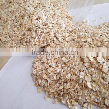 Dry Oatmeal for Cooked Instant Oat Flake in Oats photo-5