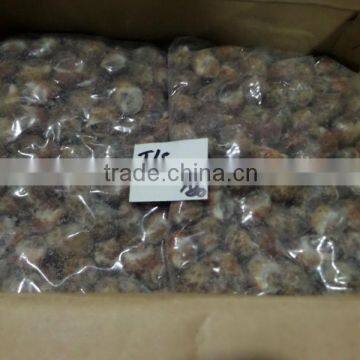 FROZEN LOLIGO SQUID WHOLE photo-3