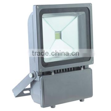 LED Flood Light FL1100W