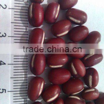 Adzuki Bean for sweet red bean paste/Small Red Bean( 2010 crop) Hps