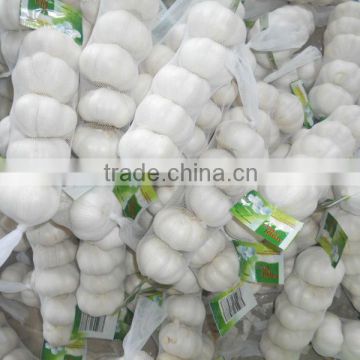 2013 crop natural garlic ,good quality new garlic