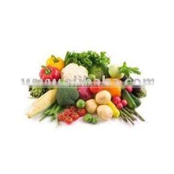 Fresh Indian Vegetable (Okra, Chilly, Capsicum, Egg plant)n)