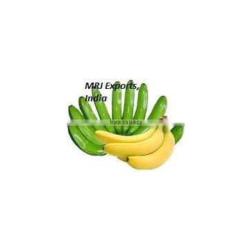 Fresh Green cavandish banana with High quality 2016