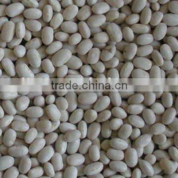 Japanese style white Kidney Beans