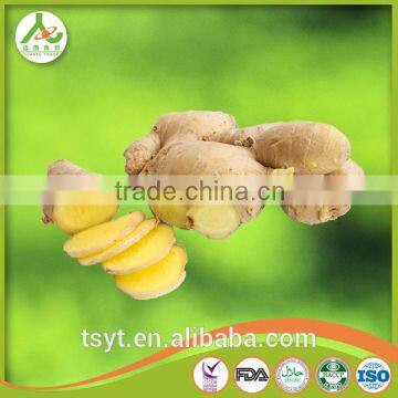 Chinese Fresh Fat Giant Big Natural Mature Ginger photo-5