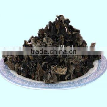 Top quality black fungus price