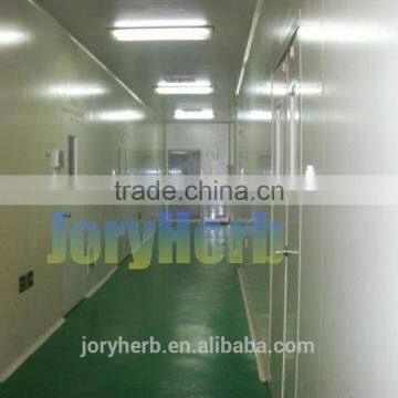 Organic Green Tea Extract Powder