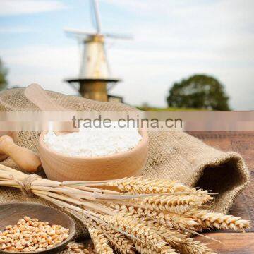 Wheat Flour