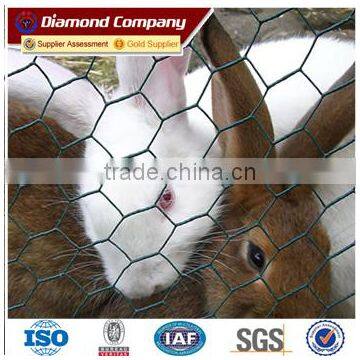 Cheap price Hot galvanized Hexagonal Wire Netting professional manufacture