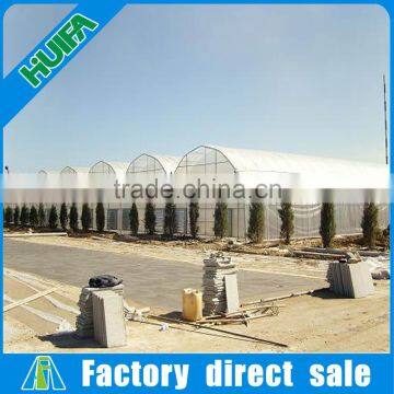 Commercial Hydroponics Trays for Multi Span Agricultural Greenhouses photo-6