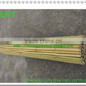 ZENT-105 Nature Yellow Bamboo Pole/Bamboo pole Fence